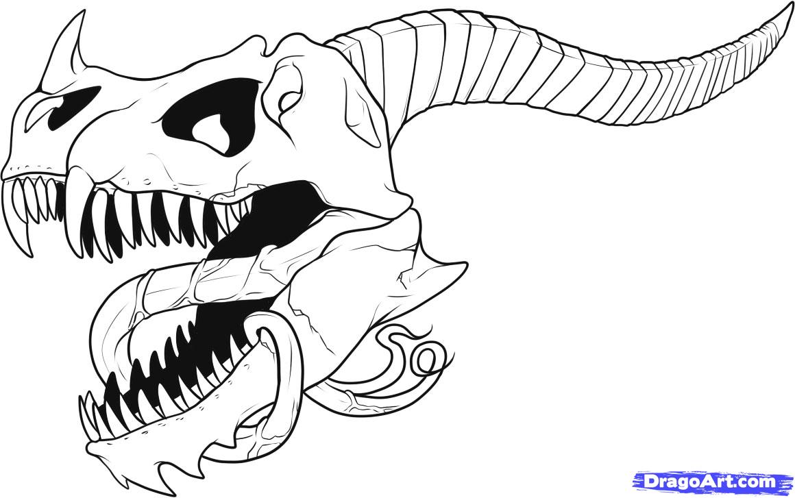 1160x727 How To Draw A Dragon Skull, Step