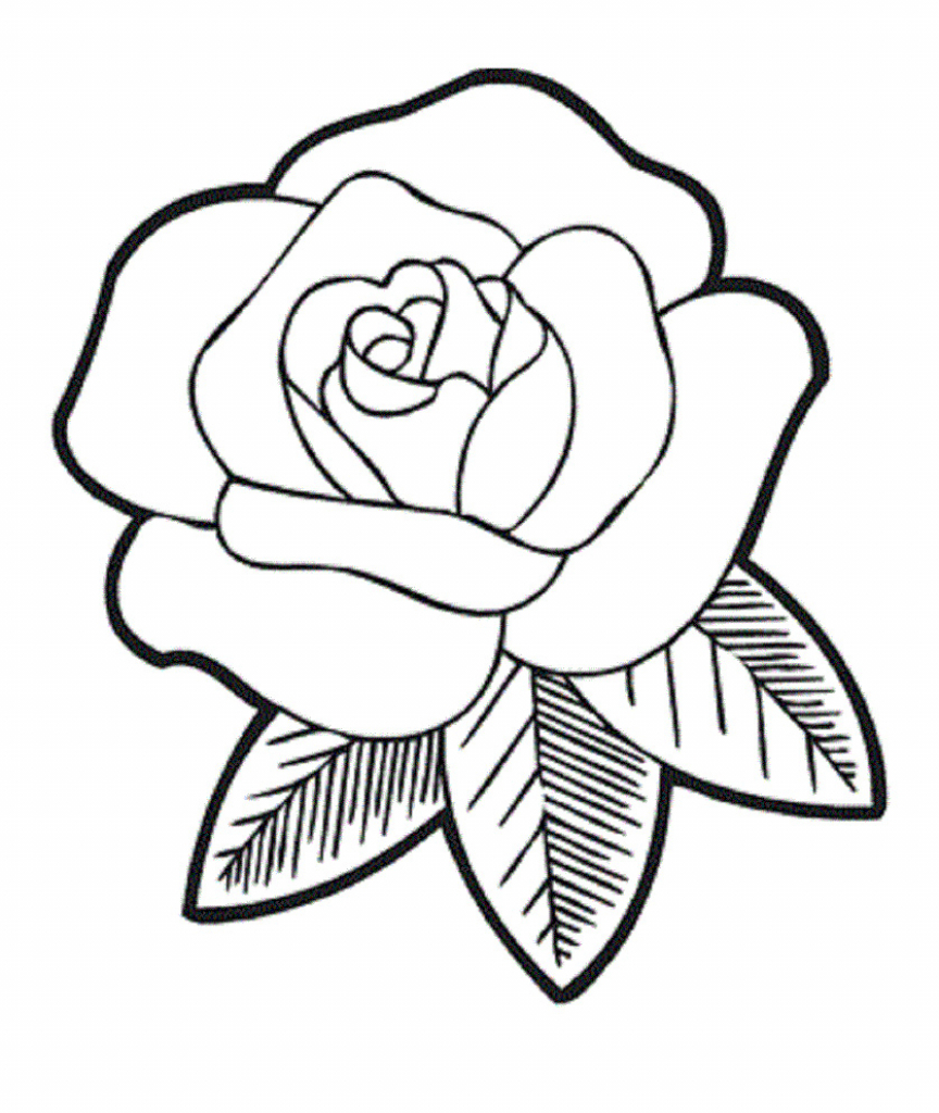 864x1024 Easy Drawing Of A Rose How To Draw Roses Easy Drawing Picture