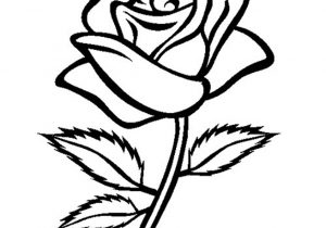 300x210 Easy Rose Flower Drawing How To Draw A Rose Easy