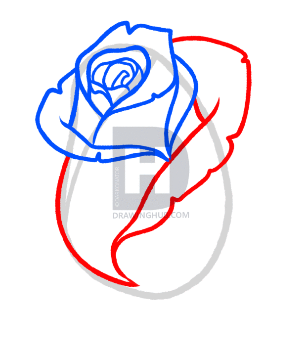 619x720 how to draw a rose bud, rose bud, step
