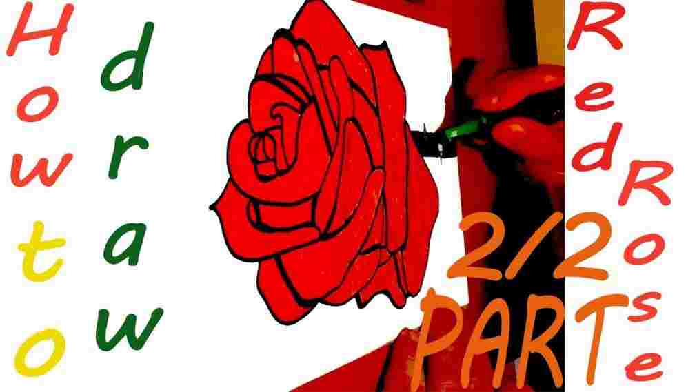 1011x569 How To Draw An Open Rose Step