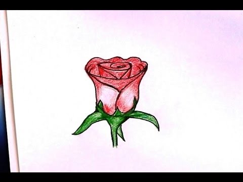 480x360 How To Draw Rose How To Draw A Rose Flower Open Rose For Kids
