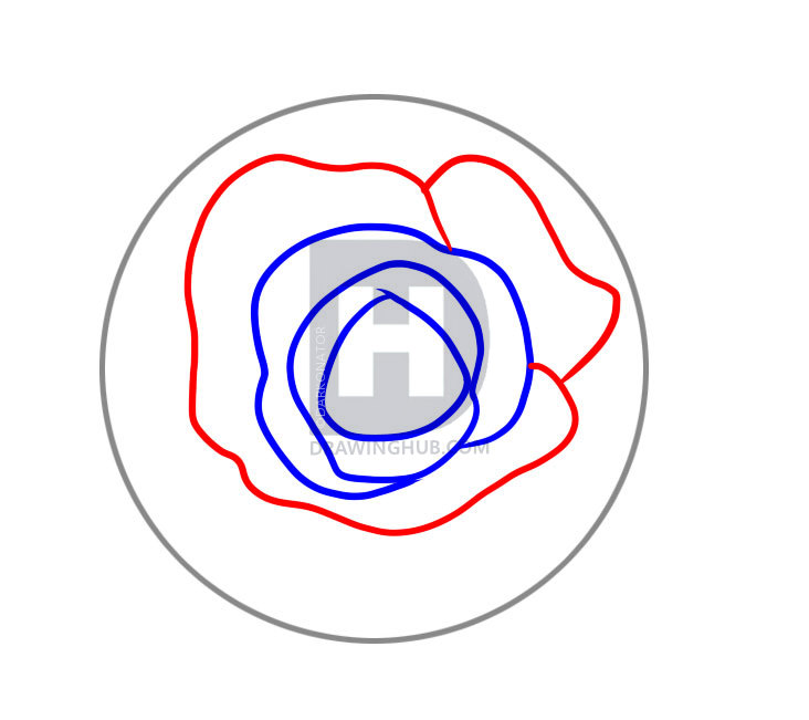 732x651 Draw Rose Petals, Step