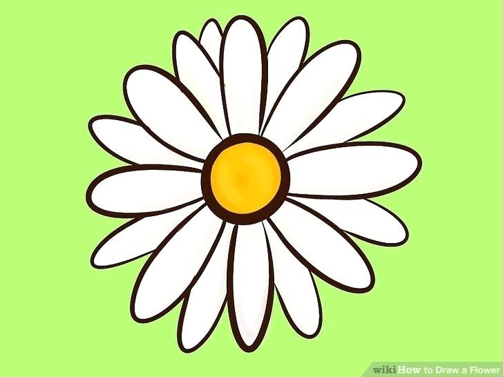 728x546 Pictures Of Easy Flowers To Draw Image Titled Draw Flowers Step
