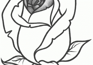 300x210 Rose Flowers Drawing Step