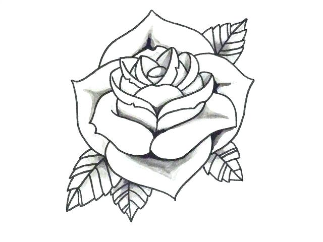 Open Rose Drawing Step By Step | Free download on ClipArtMag