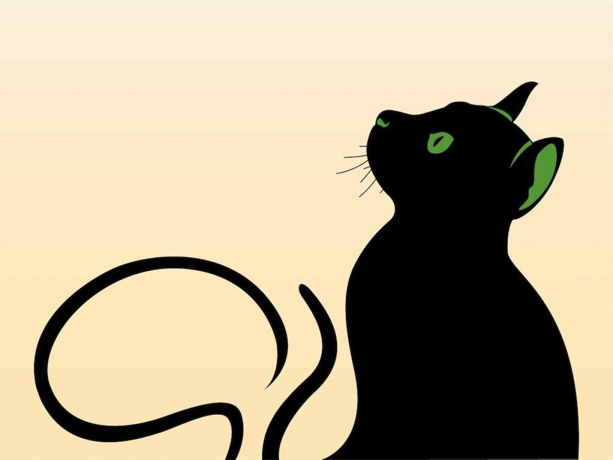1228x921 Best Hd Cat Vector Graphics Pictures Arenawp