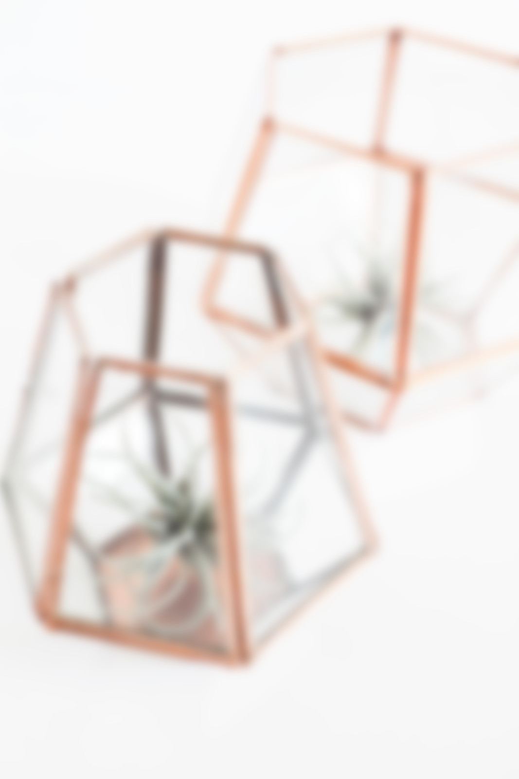 1067x1600 feb sbs the open suitcase