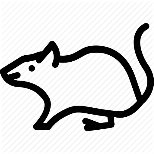 512x512 Collection Of Free Rat Vector Possum Download On Ui Ex