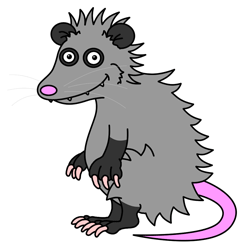 250x250 How To Draw Opossums Drawing Tutorials Drawing How To Draw