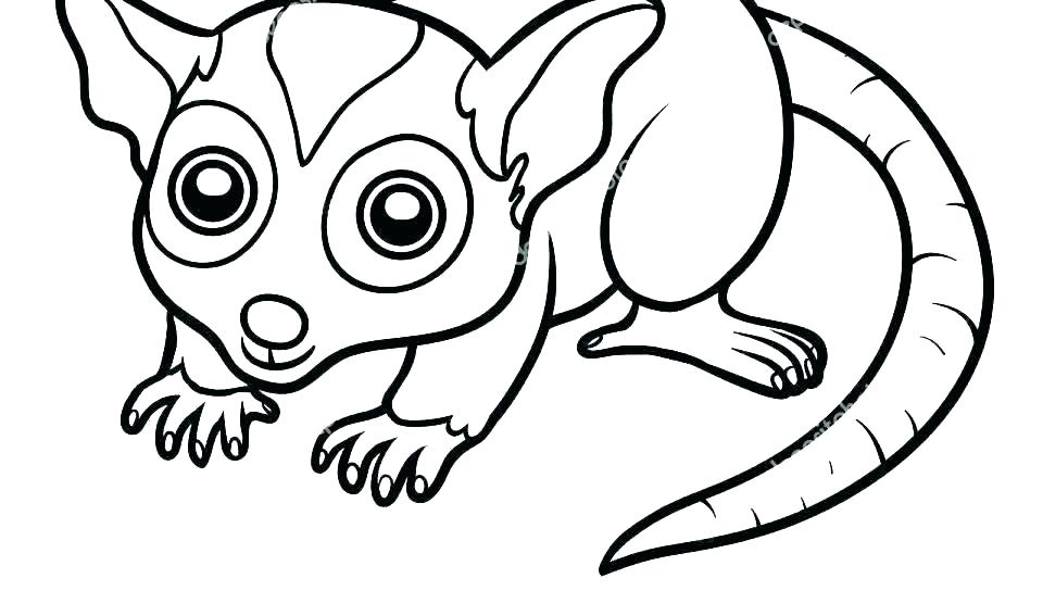 960x544 opossum coloring