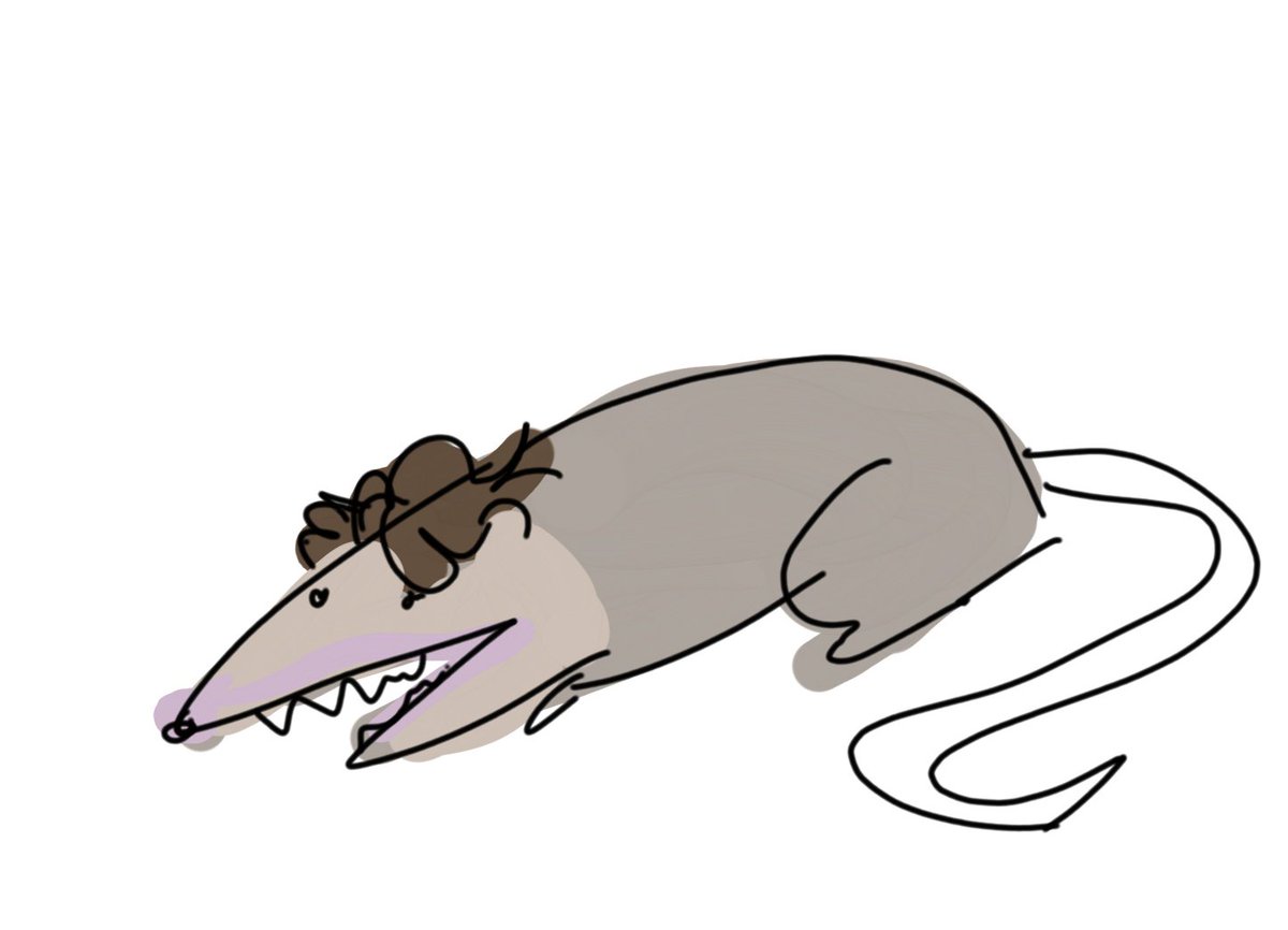 1200x866 Alana On Twitter I Personally Think He Should Rebrand To Mr