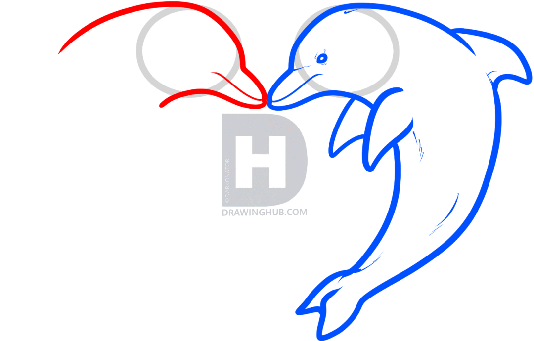 1080x690 How To Draw Love Dolphins, Dolphin Heart, Step