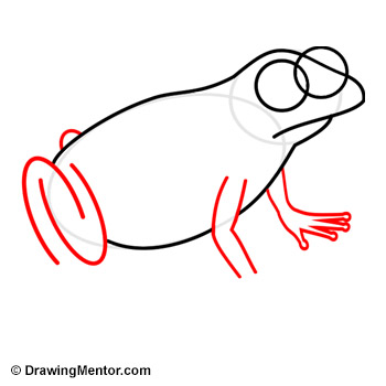 350x350 How To Draw A Frog Tutorial