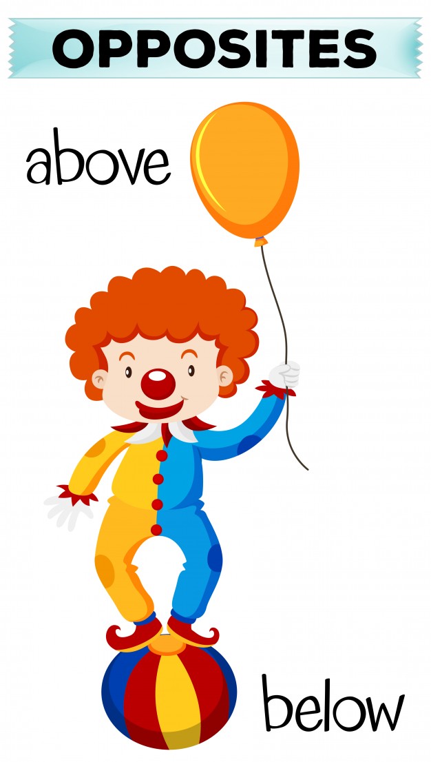 626x1106 Drawing Archives