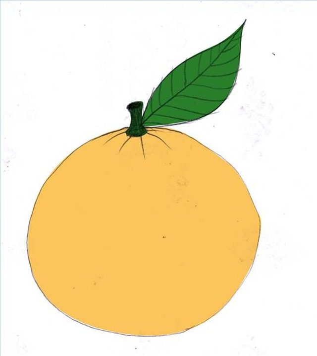 640x717 How To Draw An Orange