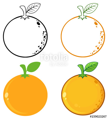 454x500 Orange Fresh Fruit With Green Leaf Cartoon Drawing Set