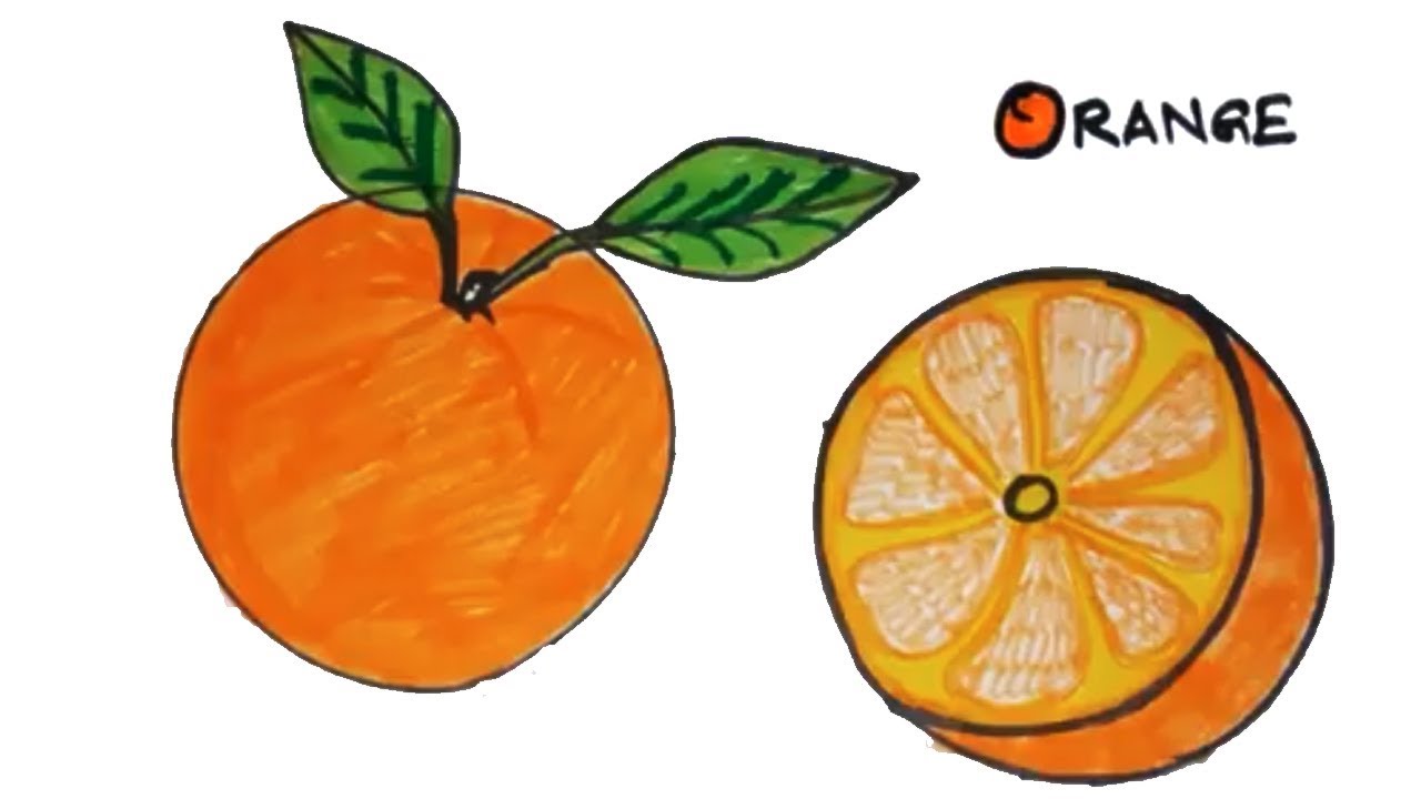 1280x720 How To Draw An Orange Easy Drawing For Kids Online Drawing