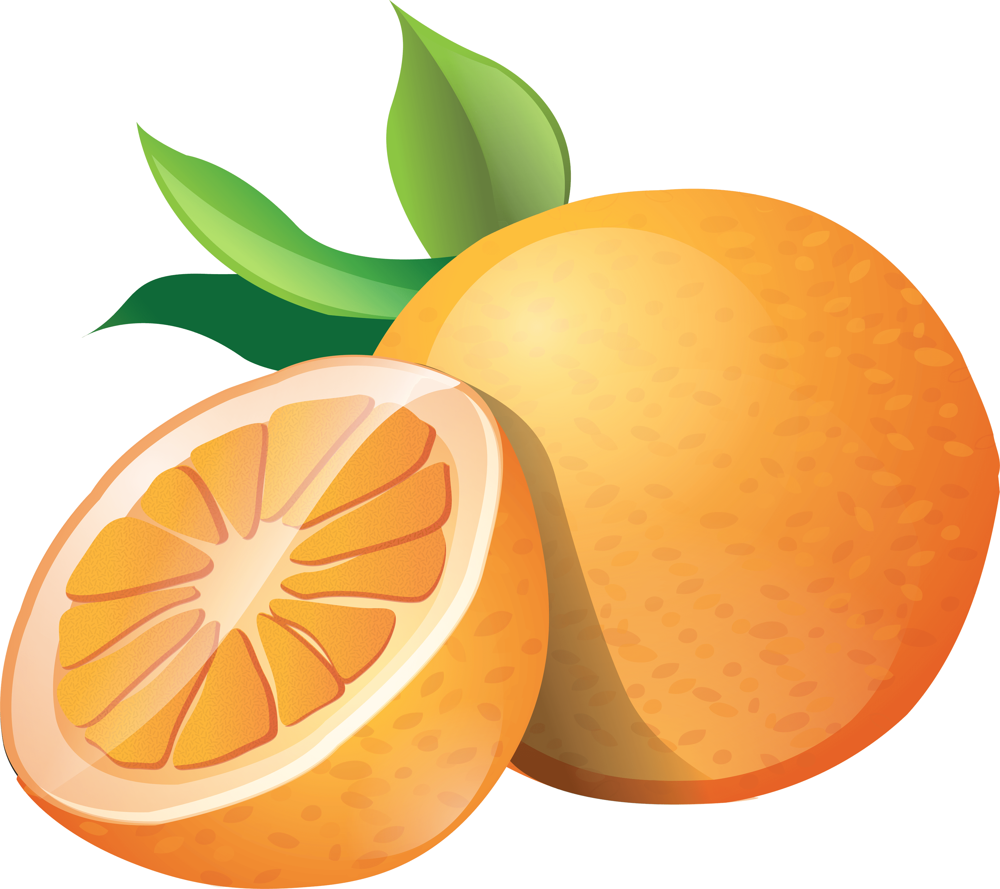 Orange Fruit Drawing