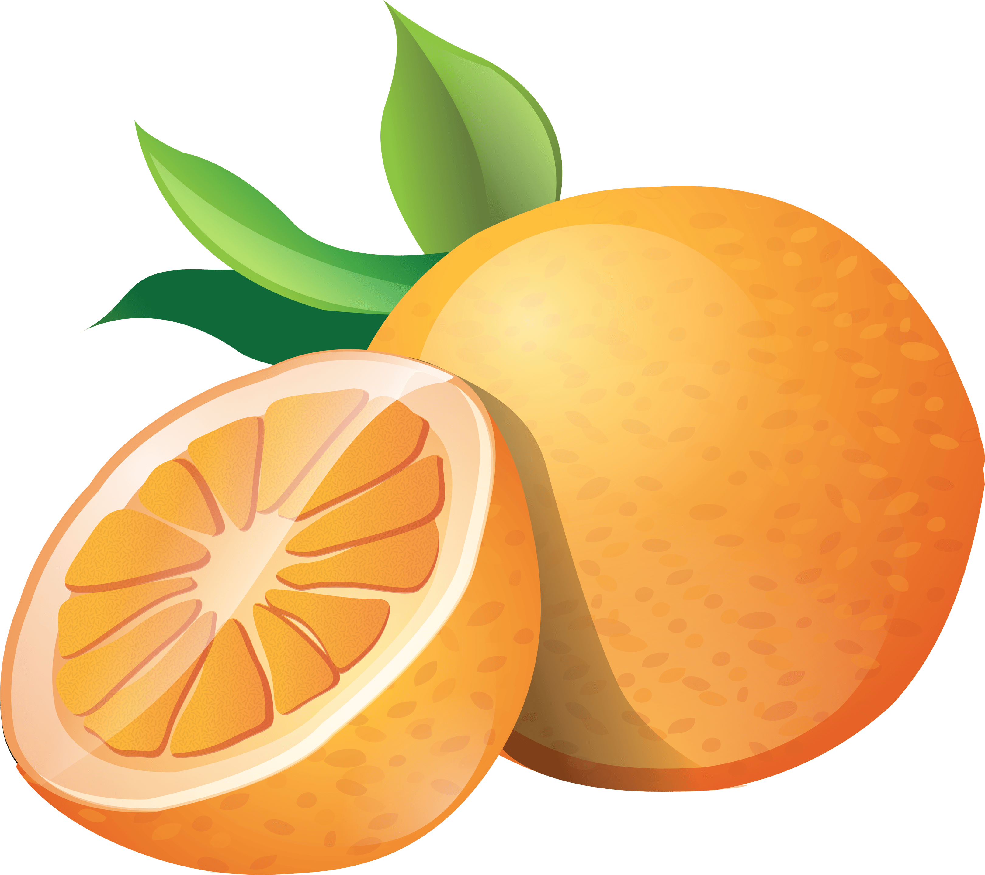 Orange Slice Drawing Free Download On ClipArtMag