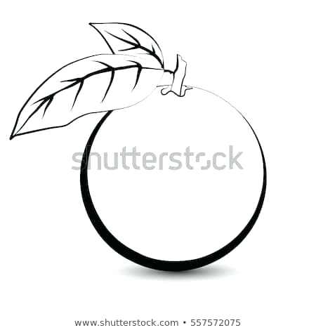 450x470 Fruit Sketches For Coloring Free Fruit Sketches For Coloring Nip