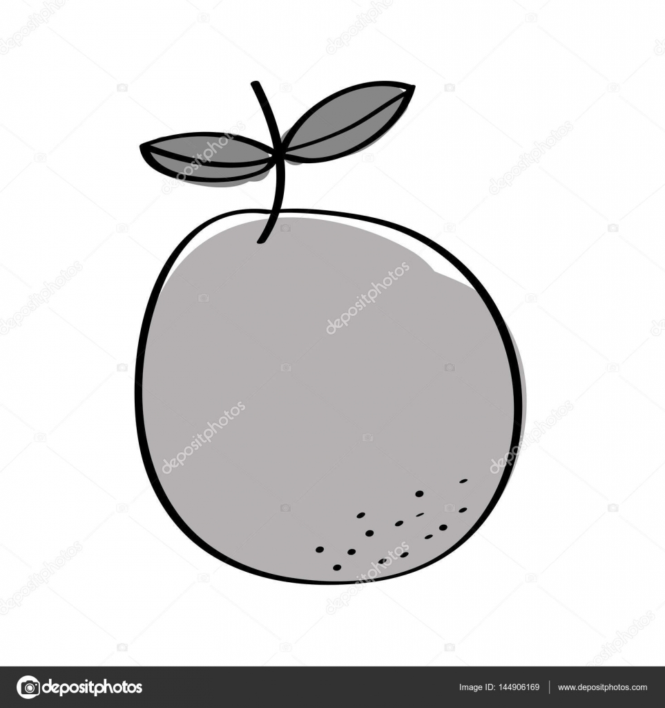 963x1024 Orange Drawing Fresh Fruit For Free Download