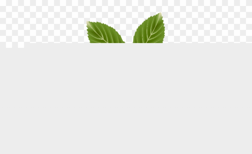 840x515 Juice Peach Drawing