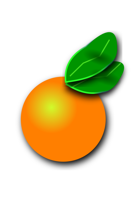 530x750 Orange Fruit Food Drawing Cc0