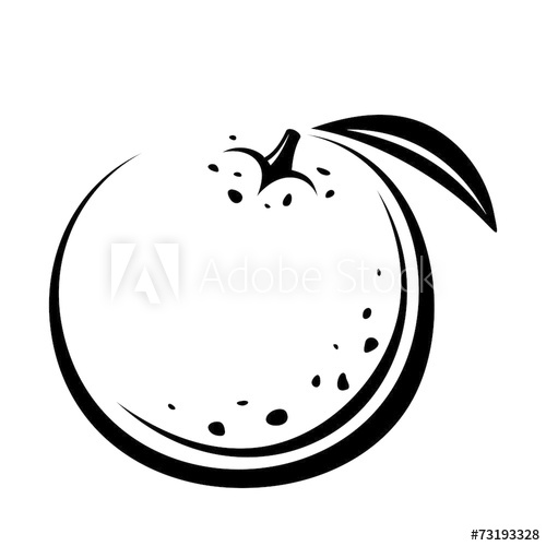 500x500 Orange Fruit Vector Black Contour Drawing