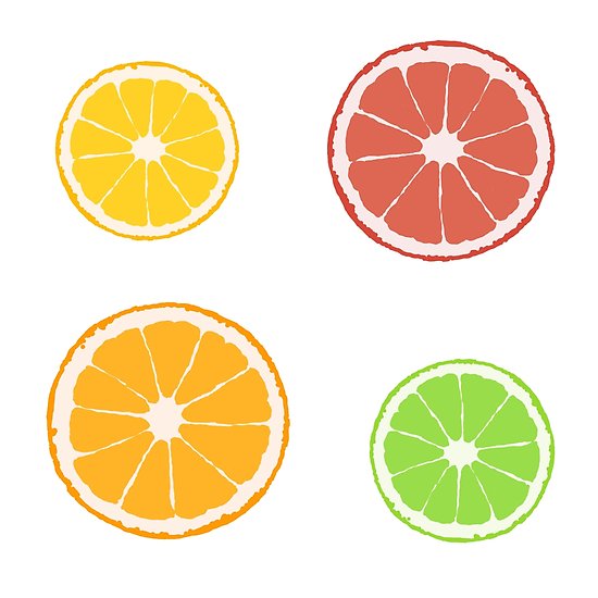 550x550 citrus drawing of an orange, lime, lemon, and grapefruit posters