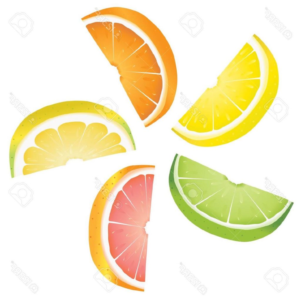 1024x1024 Collection Of Free Orange Clipart Lemons Bean Clipart Coffee