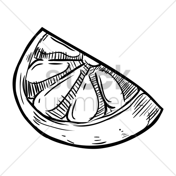 600x600 Orange Slice Vector Image