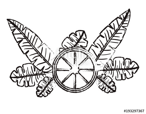 500x392 Orange Slice With Leafs Fresh And Citrus Fruit Vector Illustration