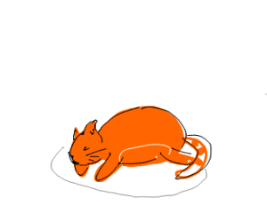 300x250 fast as heck speedy woosh cat