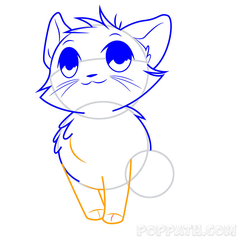 800x800 How To Draw An Orange Cat Pop Path