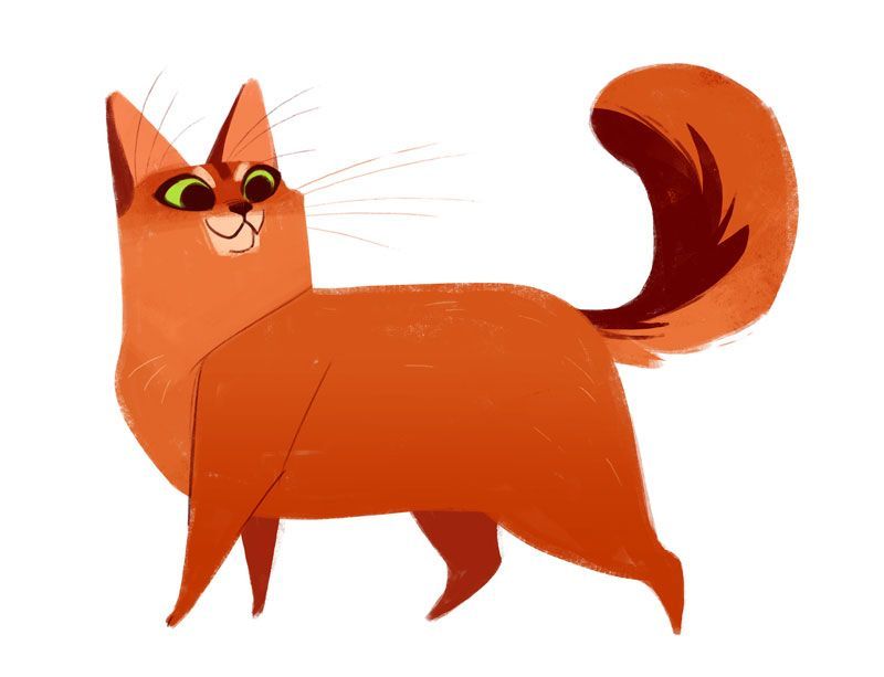 orange tabby cat face cartoon