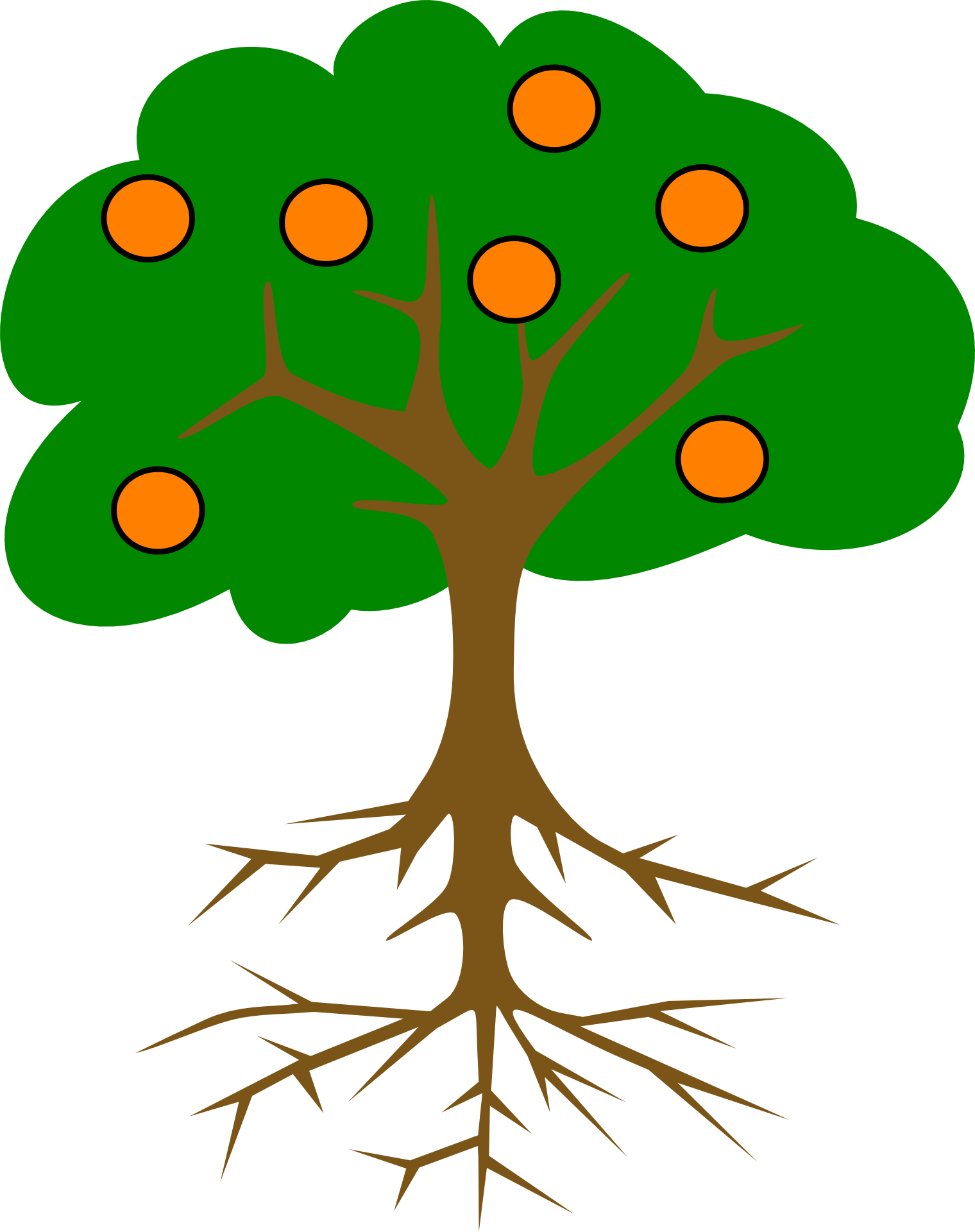 1520x1920 Drawing Of An Orange Tree With Roots Free Image