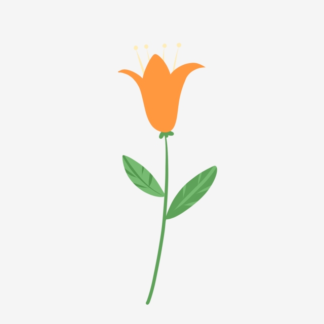 640x640 Hand Drawn Cute Orange Flower, Nature, Hand Drawn, Drawing Png