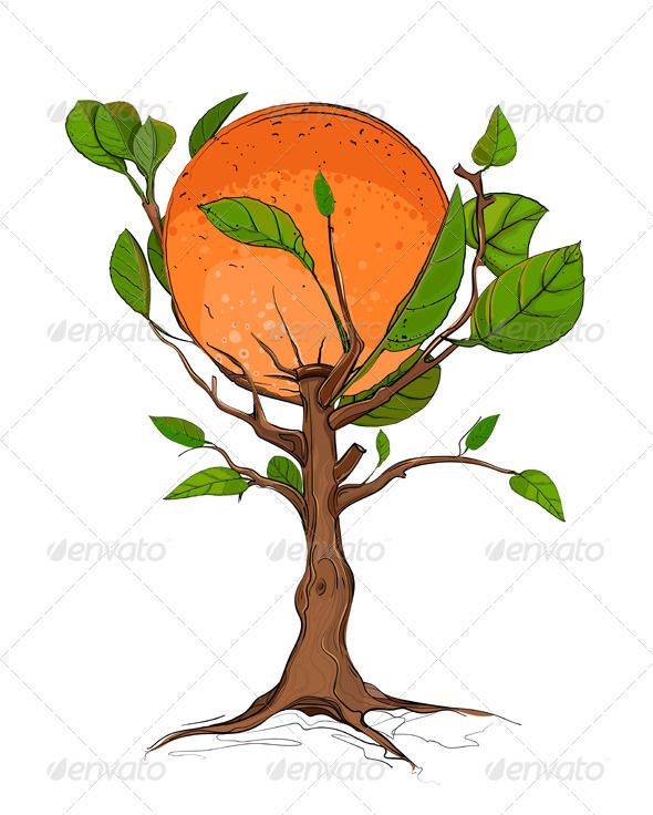 590x736 Orange Tree Fonts Logos Icons Orange, Tree Illustration