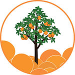 150x150 Orange Tree Drawing