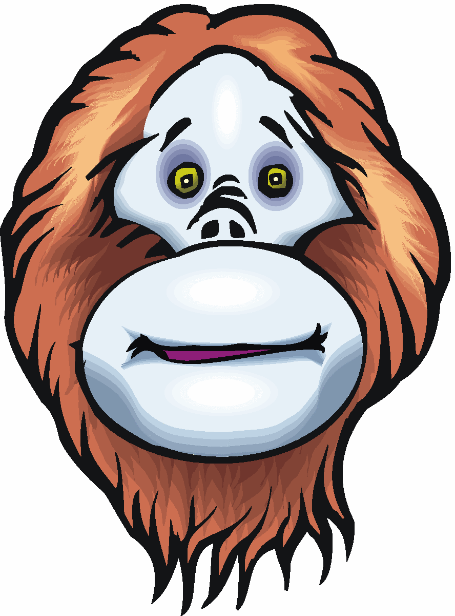 888x1200 Collection Of Free Fecial Clipart Orangutan Download On Ui Ex