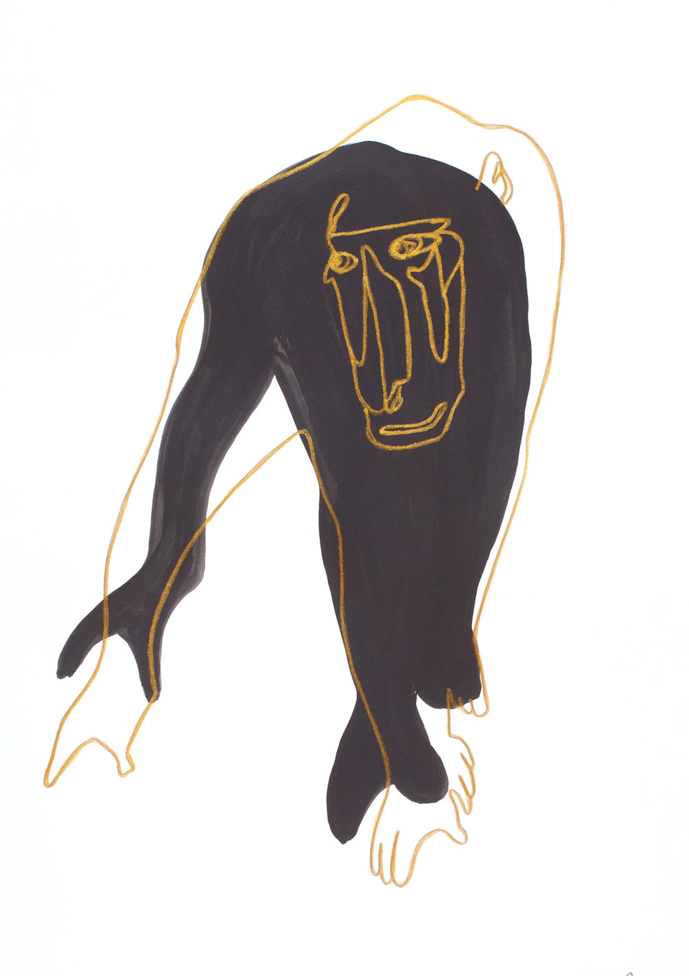 1000x1417 Drawing Branca Cuvier