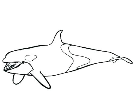 440x330 Coloring Pages