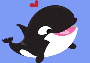 300x210 Cute Orca Drawing How To Draw A Killer Whale Stepstep