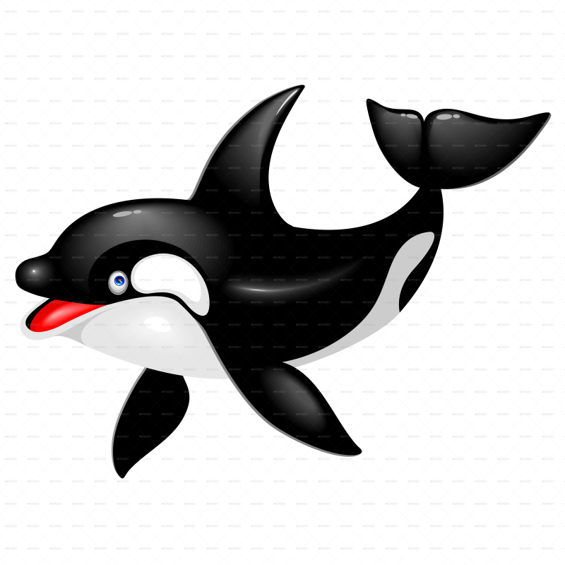 800x800 Dolphin, Drawing, Illustration, Transparent Png Image Clipart
