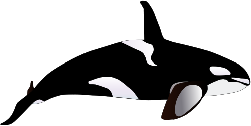 499x250 Fresh Orca Whale Clipart Orca Clip Art Clipart Best
