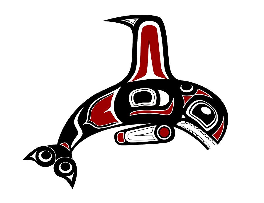 900x691 Haida Orca Drawing