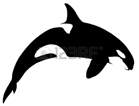 450x342 Huge Collection Of 'orca Silhouette' Download More Than Images