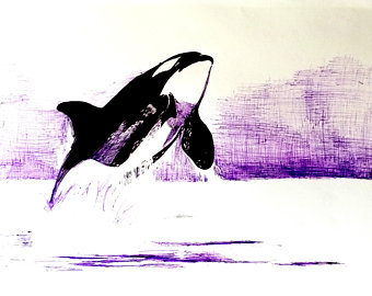 340x270 Ink Orca Drawing Etsy