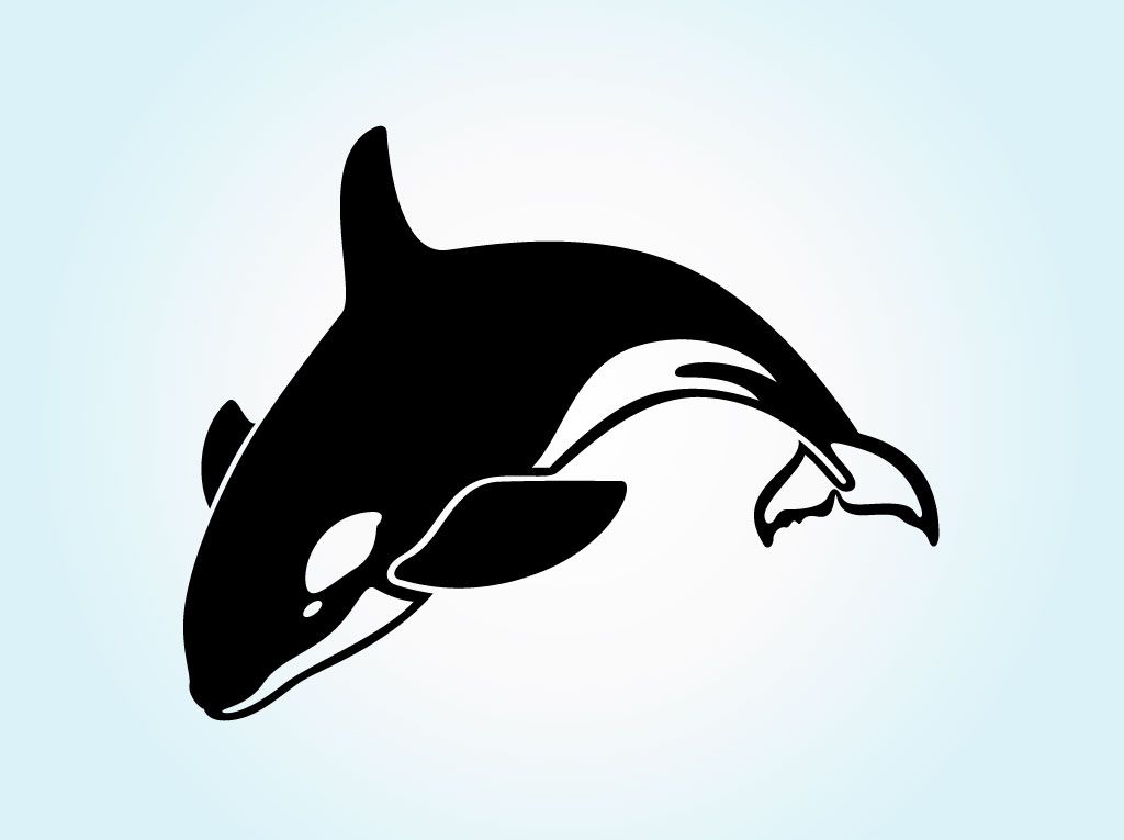1024x765 Jumping Orca